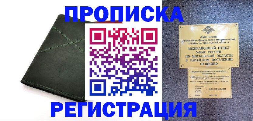 прописка в квартире в Новосибирской области